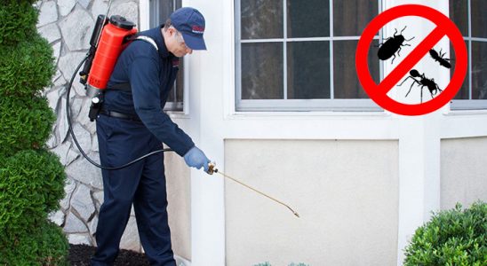Koçarlı Dezenfeksiyon böcek ilaçlama ve haşere kontrolü — ilaclama-tr.com